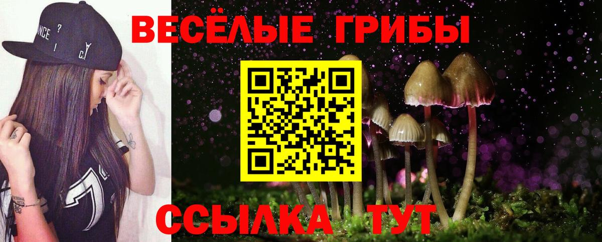 Галлюциногенные грибы Magic Shrooms Солнечногорск