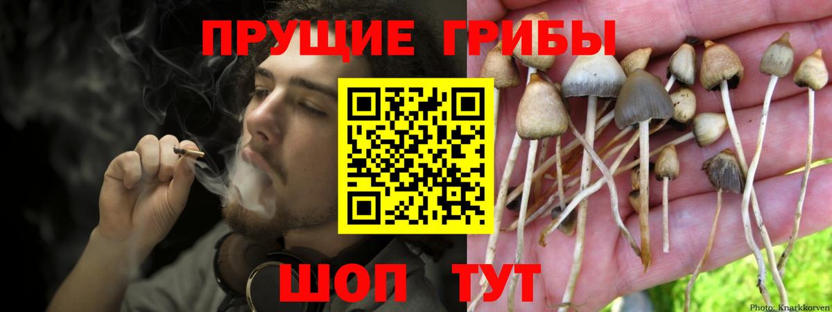 Псилоцибиновые грибы мухоморы  Вход с VPN  Солнечногорск  Псилоцибиновые грибы мухоморы 